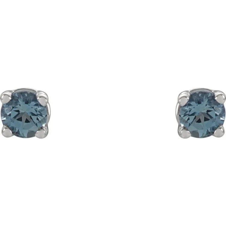 14K White 2.5 mm Natural Aquamarine Stud Earrings