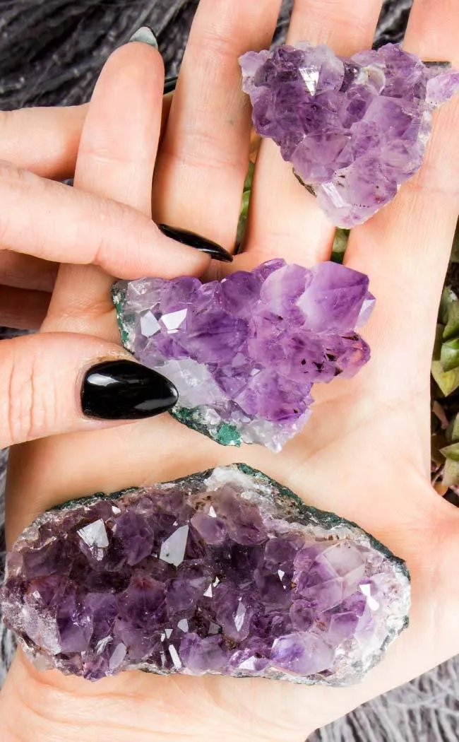 Amethyst Cluster | Medium