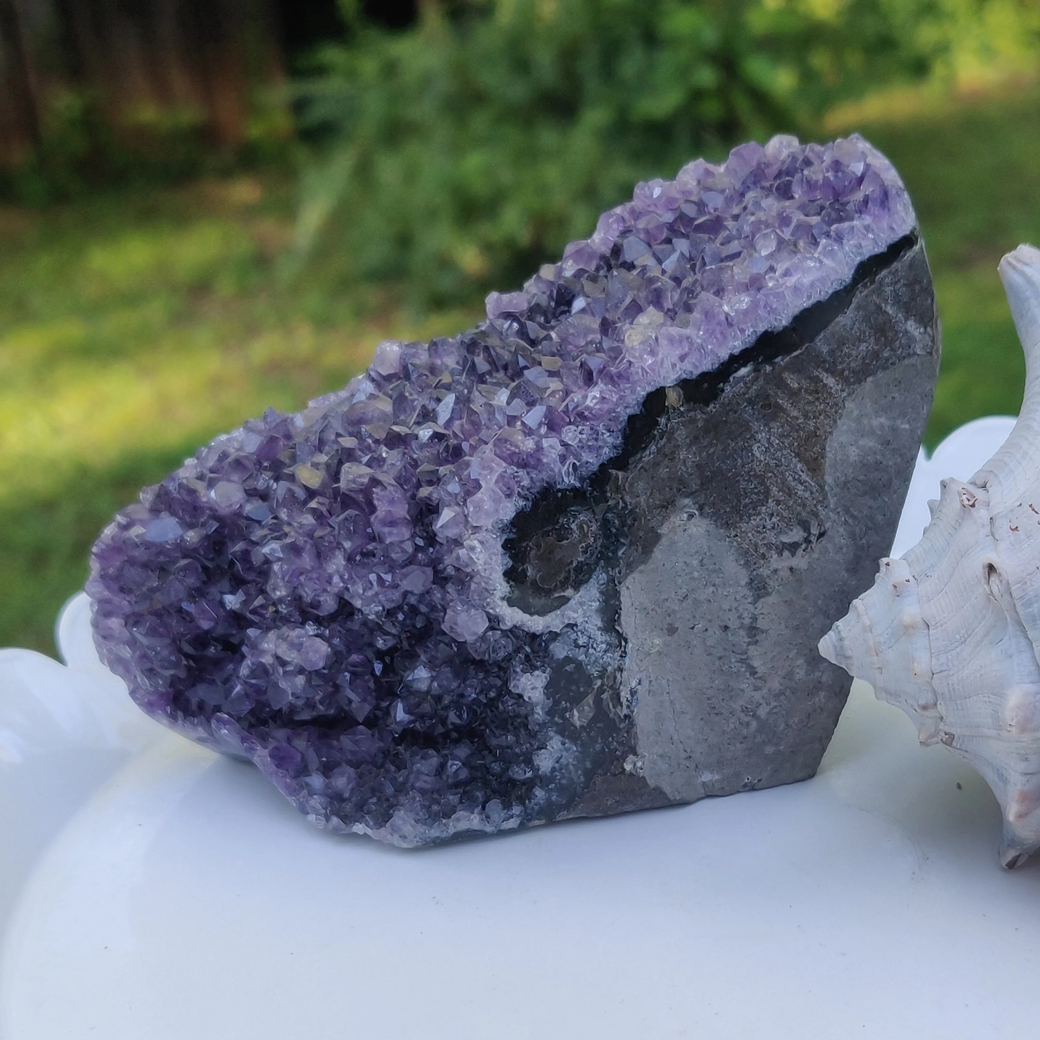 Amethyst Geode Free Form, Polished (#4)