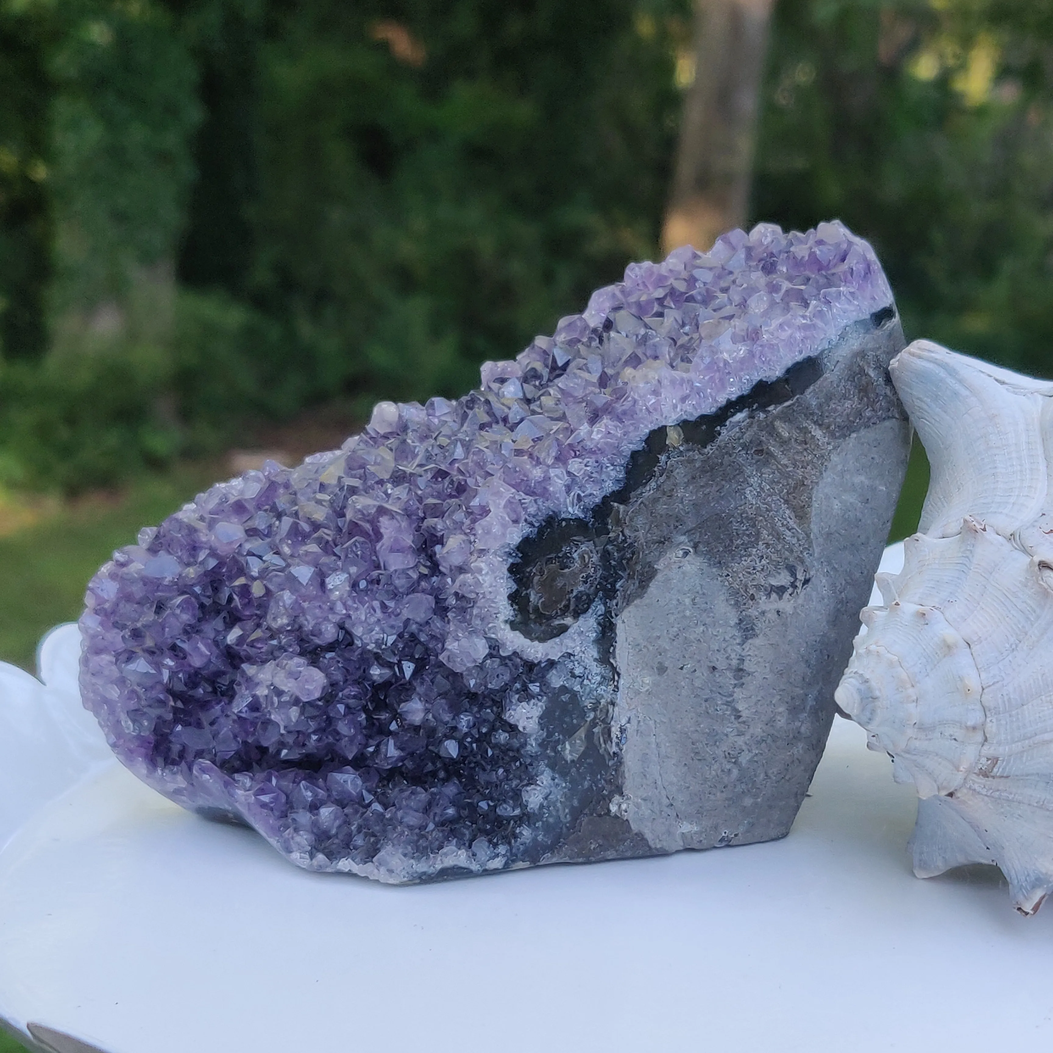 Amethyst Geode Free Form, Polished (#4)