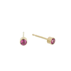 Birthstone Dust Studs