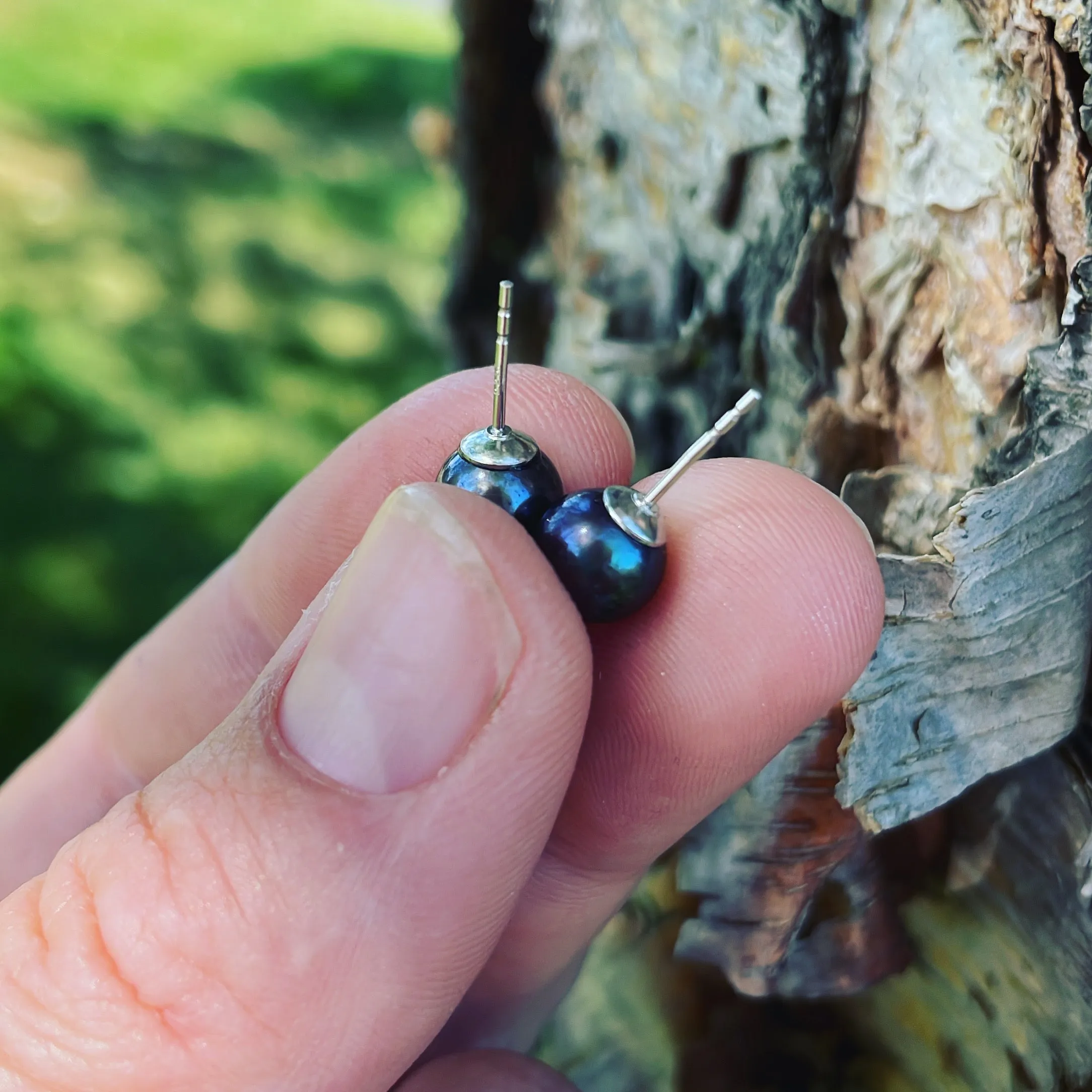 Black Pearl and Sterling Silver Earrings