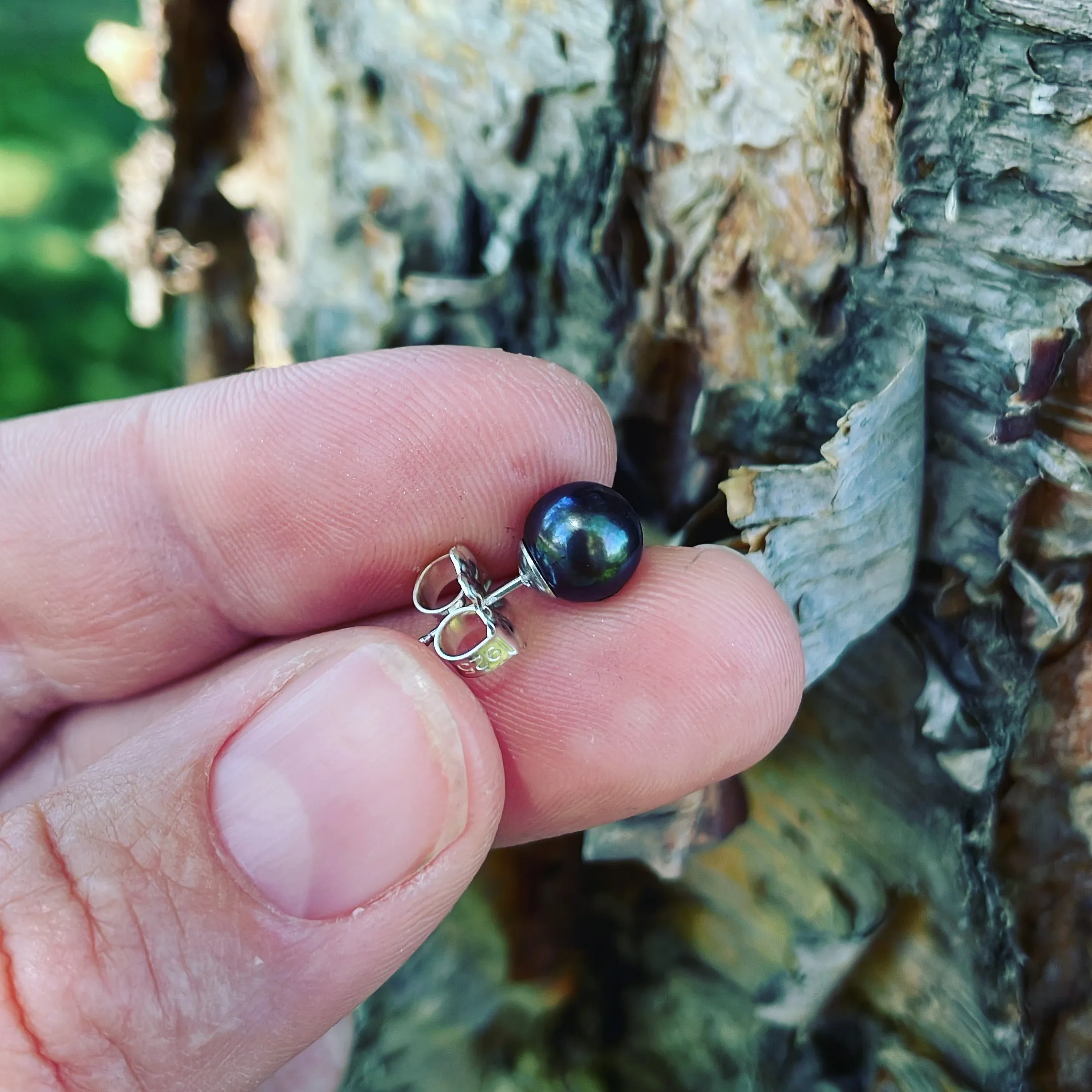 Black Pearl and Sterling Silver Earrings