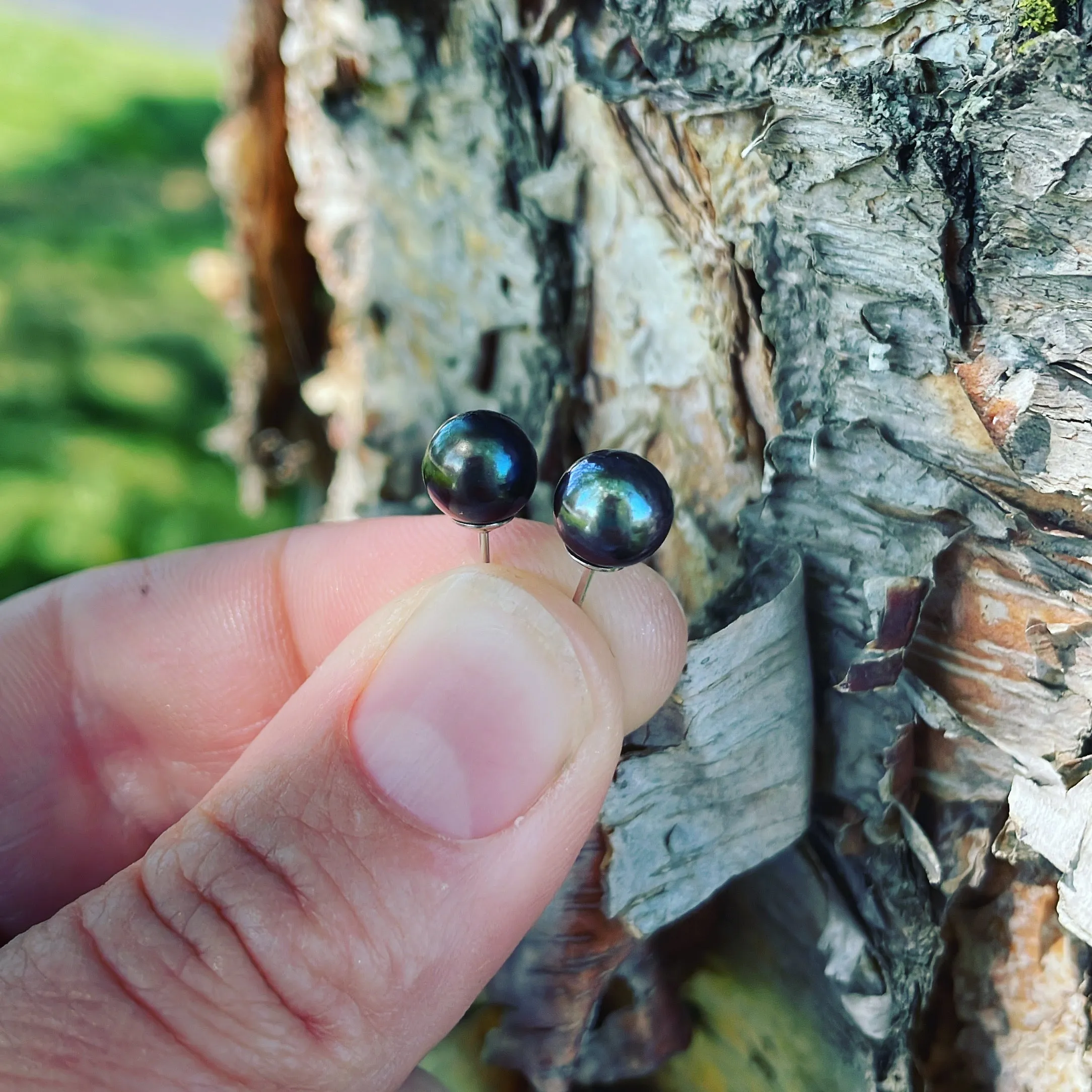 Black Pearl and Sterling Silver Earrings