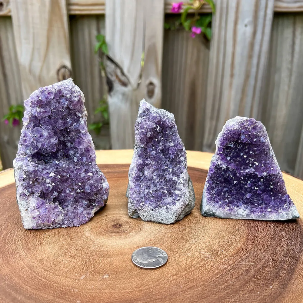 Medium Free Standing Amethyst Clusters