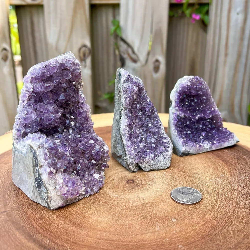 Medium Free Standing Amethyst Clusters