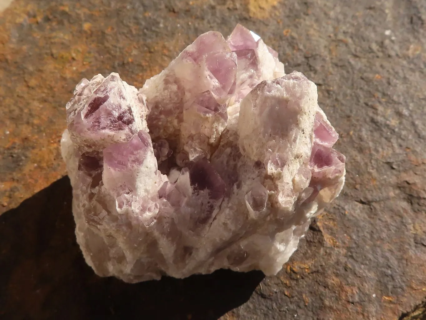 Natural Sugar Amethyst Clusters x 12 From Solwezi, Zambia