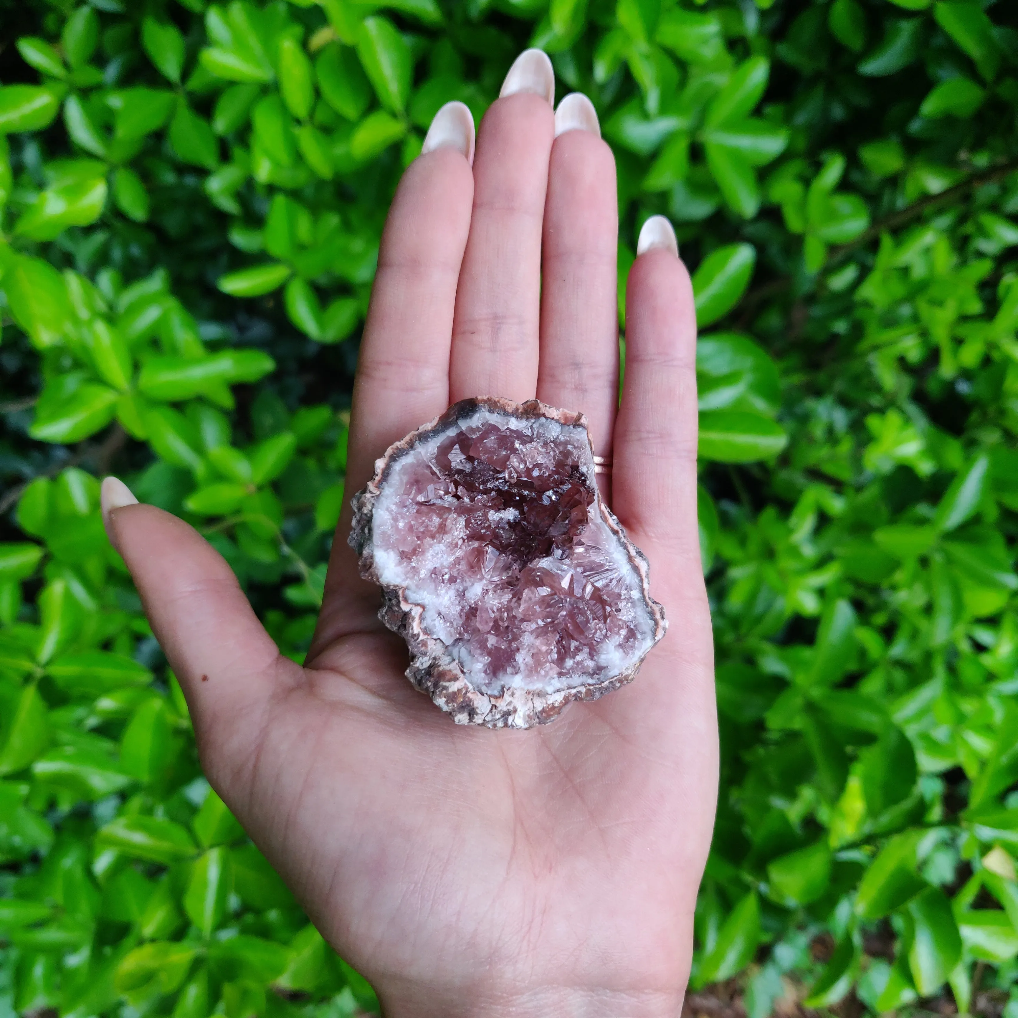 Pink Amethyst Geode (#6)