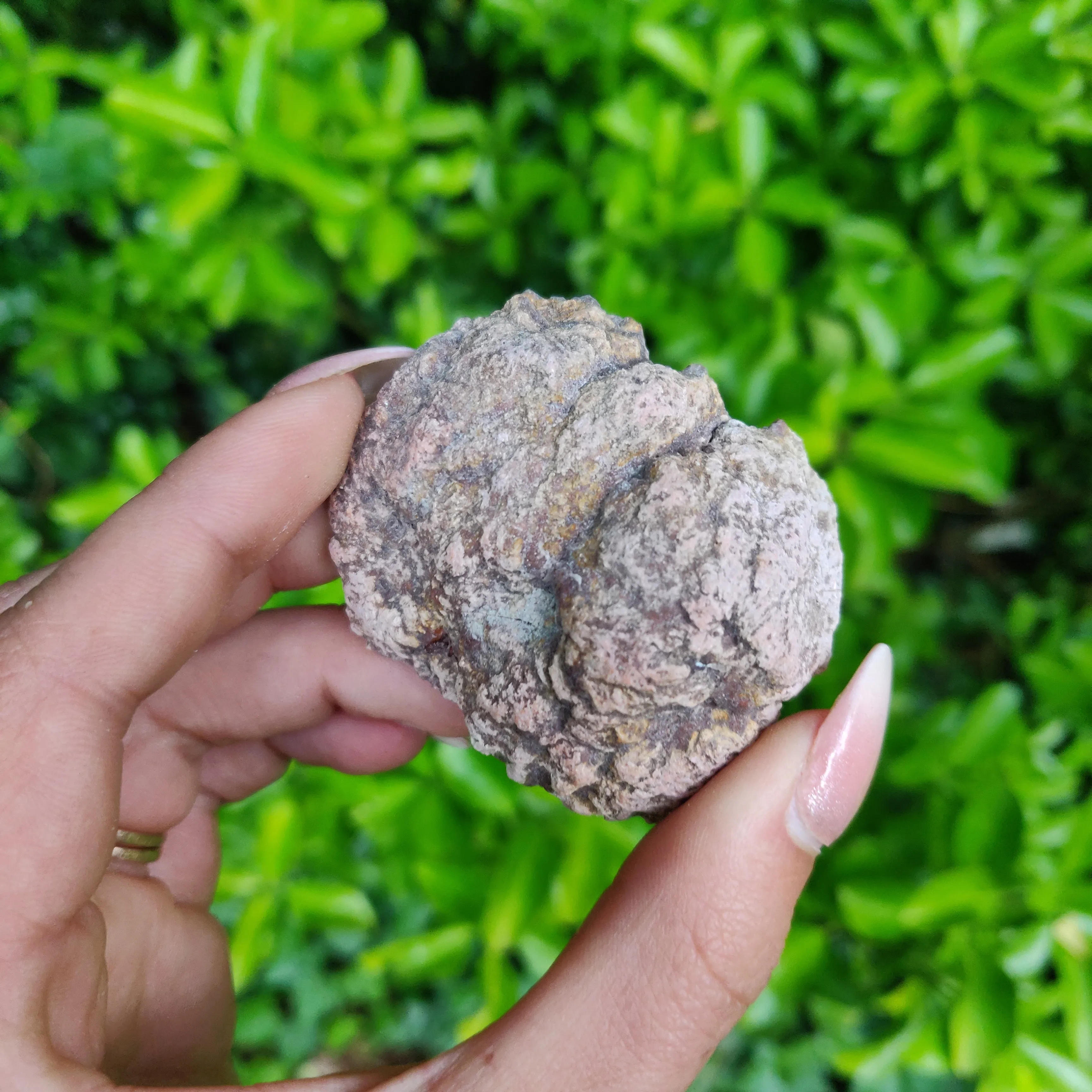 Pink Amethyst Geode (#6)