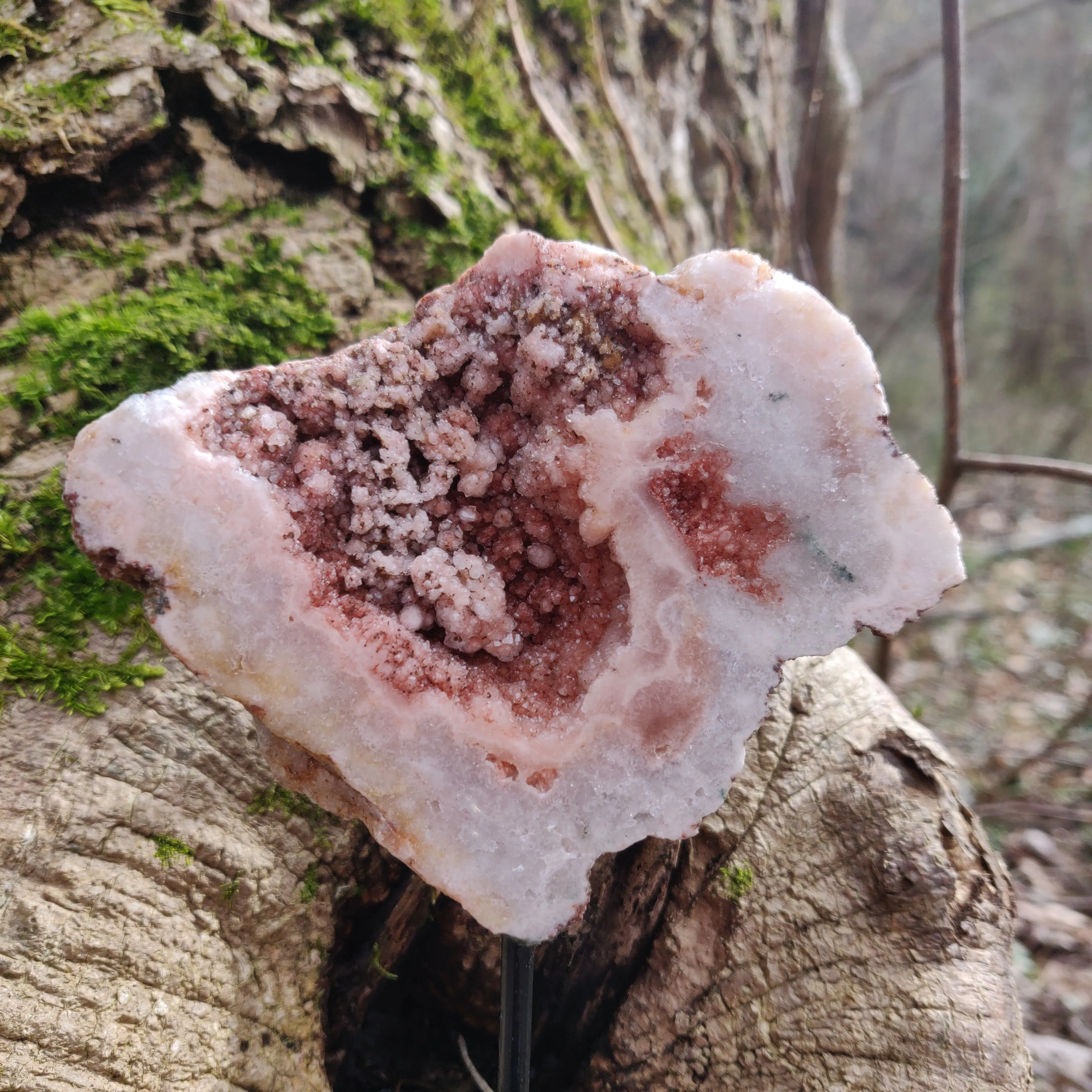 Pink Amethyst Geode Slab on Metal Stand (#5)