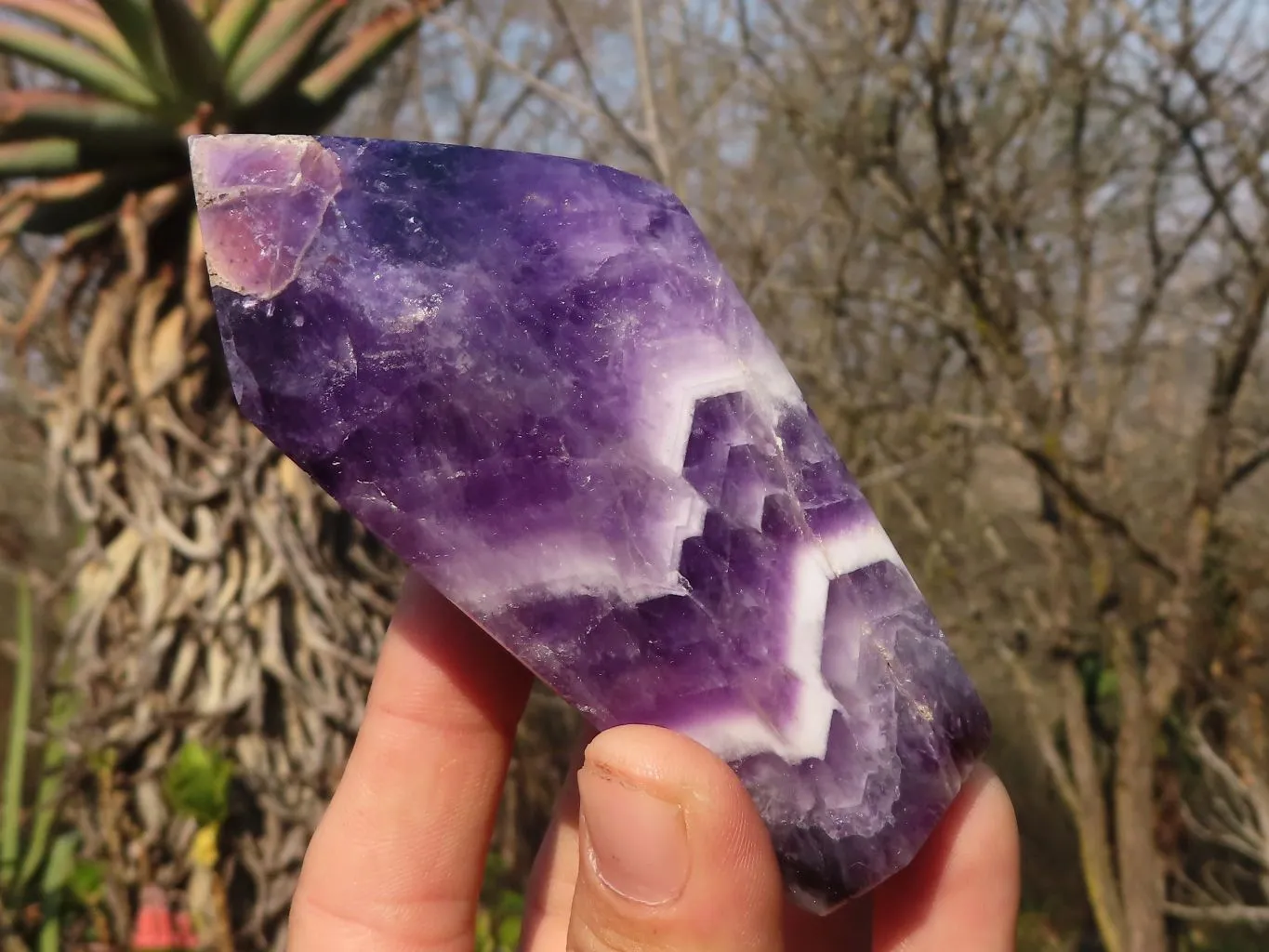 Polished Dream Amethyst Points x 3 From Ambatondrazaka, Madagascar