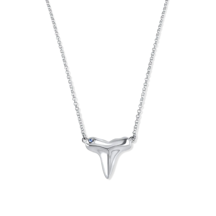 Sharks Tooth Necklace