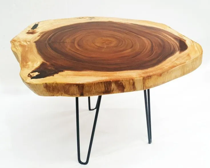 Unique home Wooden Slice Live Edge Coffee Table | End Table | Center Table Standard Size for Bedroom living Room and Office | Sheesham Wood Foldable Metal hairpin Legs